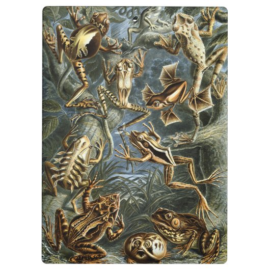 Kikker en pad Ernst Haeckel  Klembord (Achterkant)