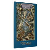 Kikker en pad Ernst Haeckel  Klembord (Rechts)