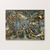 Kikker en pad Ernst Haeckel  Legpuzzel (Horizontaal)