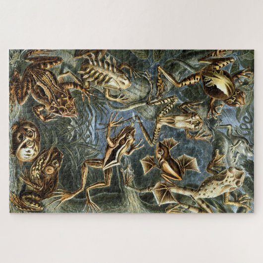 Kikker en pad Ernst Haeckel  Legpuzzel (Horizontaal)
