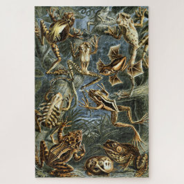 Kikker en pad Ernst Haeckel  Legpuzzel