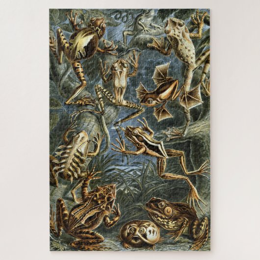 Kikker en pad Ernst Haeckel  Legpuzzel (Verticaal)