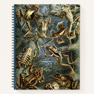 Kikker en pad Ernst Haeckel Notitieboek