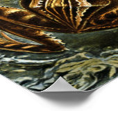 Kikker en pad Ernst Haeckel  Poster (Hoek)