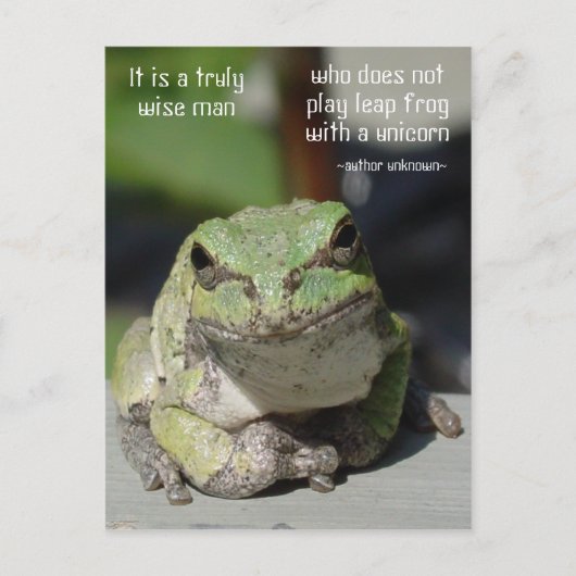 Kikker en unicorn briefkaart (Voorkant)