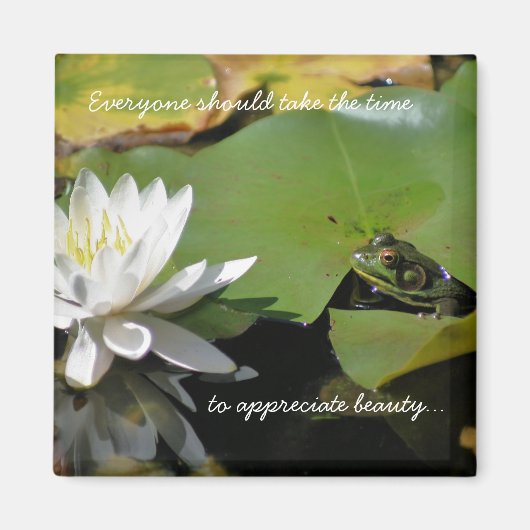 Kikker en water Lily Inspirerend Quote Magnet (Voorkant)