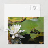 Kikker- en waterlelvrij Natuur Briefkaart (Voorkant / Achterkant)