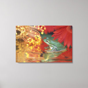 Kikker en weerspiegelingen tussen bloemen. Credit Canvas Afdruk
