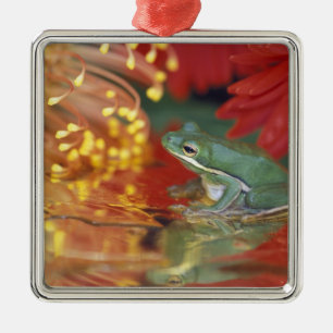 Kikker en weerspiegelingen tussen bloemen. Credit Metalen Ornament