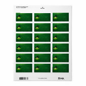 Kikker Etiket (Full Sheet)