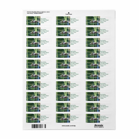 Kikker Etiket (Full Sheet)