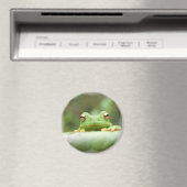Kikker Eyes Magnet (Insitu (Vaatwasser))