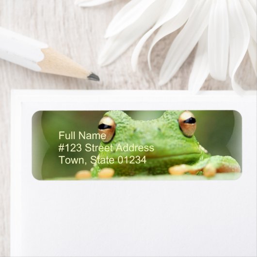 Kikker Eyes Return Address Label (Insitu)