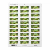 Kikker Eyes Return Address Label (Full Sheet)