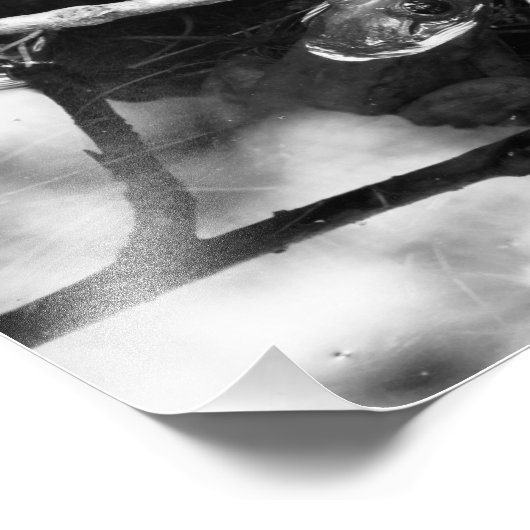 Kikker Foto BW Afdruk (Hoek)