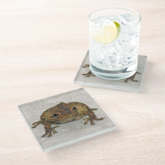 Kikker Fotovierkant Glass Onderzetter Glazen Onderzetter (Schuin)