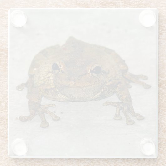 Kikker Fotovierkant Glass Onderzetter Glazen Onderzetter (Achterkant)