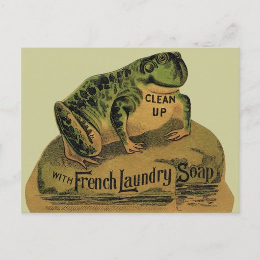 Kikker Franse waszeep Briefkaart (Voorkant)