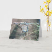 Kikker/gebed Kaart (Gele Bloem)