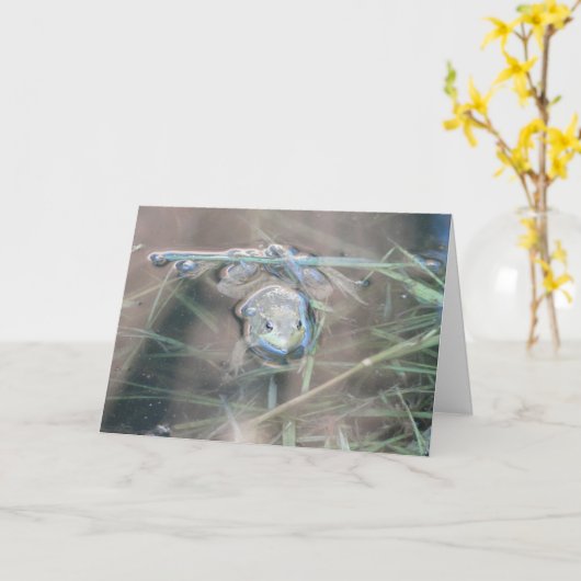 Kikker/gebed Kaart (Gele Bloem)