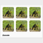 Kikker Grote Stickers (Vel)
