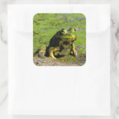 Kikker Grote Stickers (Tas)