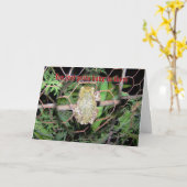 Kikker-hang daar in kaart (Gele Bloem)