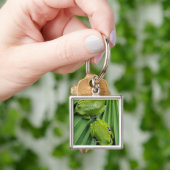 Kikker (hyla gratiosa) sleutelhanger (Hand)