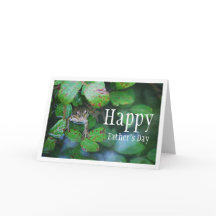 Kikker in blad vijver portret