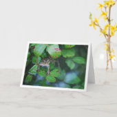 Kikker in Bladerrijke Vijver Portret Kaart (Gele Bloem)