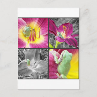 Kikker in bloemkolg briefkaart