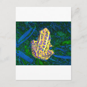 Kikker in de gras briefkaart