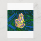 Kikker in de gras briefkaart (Voorkant)