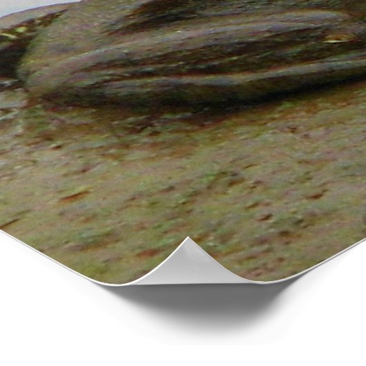 Kikker in de modder poster (Hoek)