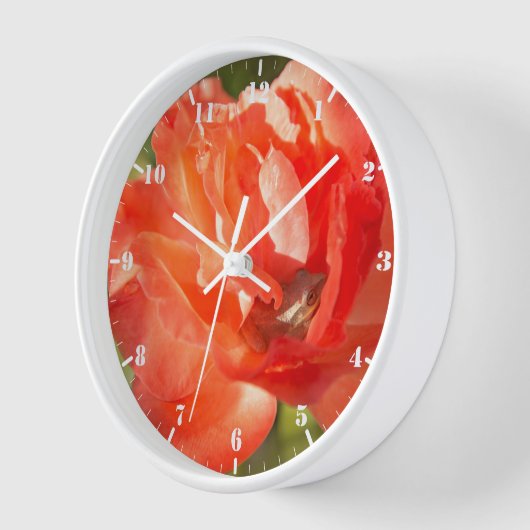 Kikker in de rode roos (Hoek)