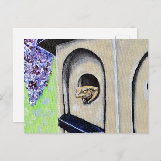 Kikker in een Briefkaart voor het schilderen van e (Voorkant / Achterkant)