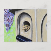 Kikker in een Briefkaart voor het schilderen van e (Voorkant)