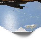 Kikker in een logboek foto afdruk (Hoek)