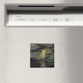 Kikker in een vijver magneet (Insitu (Vaatwasser))
