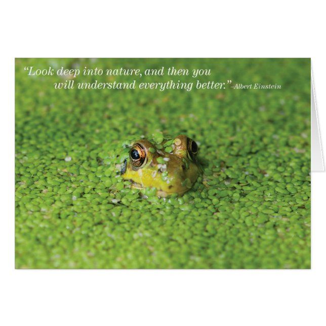 Kikker in groene algen (Voorkant Horizontaal)