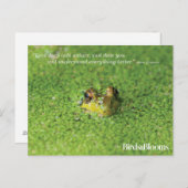 Kikker in groene algen briefkaart (Voorkant / Achterkant)