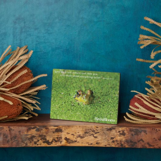 Kikker in groene algen fotoplaat (Zijkant)