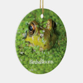 Kikker in groene algen keramisch ornament (Rechts)