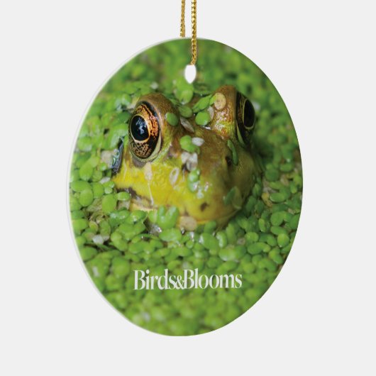 Kikker in groene algen keramisch ornament (Rechts)