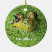 Kikker in groene algen keramisch ornament (Voorkant)