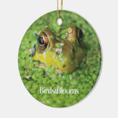 Kikker in groene algen keramisch ornament (Links)