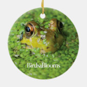 Kikker in groene algen keramisch ornament (Achterkant)