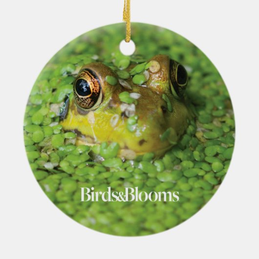 Kikker in groene algen keramisch ornament (Achterkant)