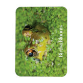 Kikker in groene algen magneet (Verticaal)