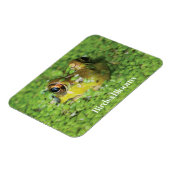 Kikker in groene algen magneet (Linkerzijde)